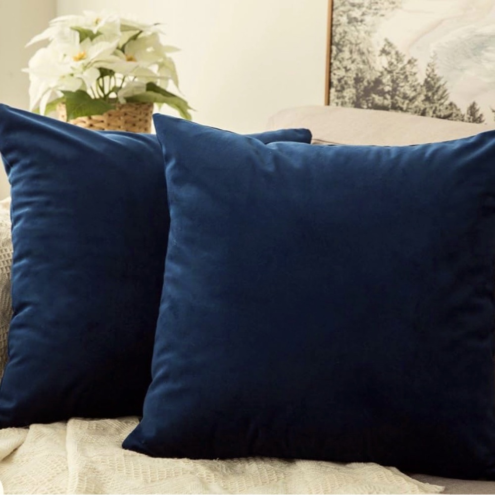 Mule 2 Pack Velvet Soft Decorative Throw Pillow Cover 18 x 18